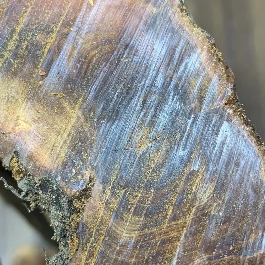 太行崖柏直播专用