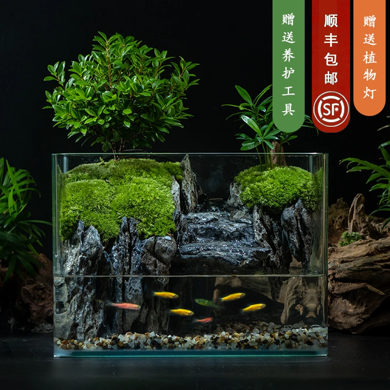 【水墨江南】国风山水-青龙石流水桌面微景观小叶赤楠植物26*17*19