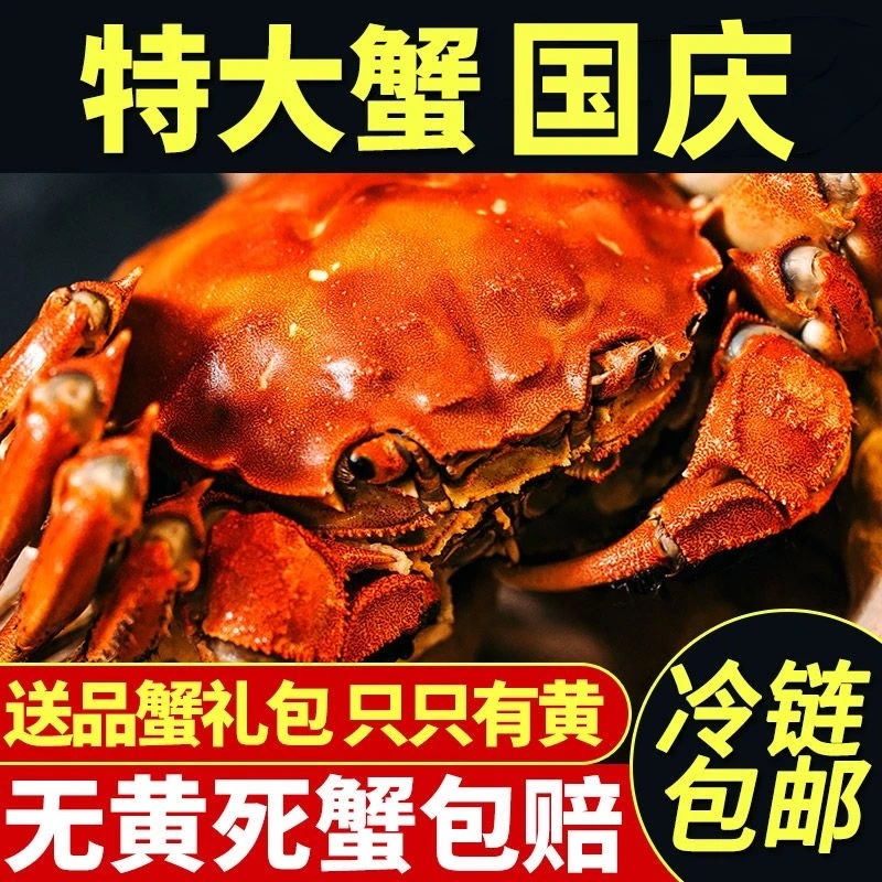 【阳澄湖大闸蟹】668大闸蟹公母活塘蟹阳澄湖镇3只公3两3只母2.5两