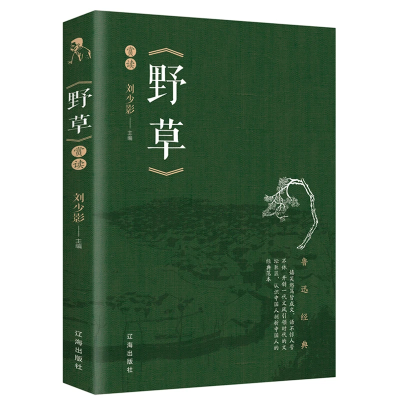 鲁迅小说作品集野草赏读抒情散文诗内含野草诗集 青少年读物