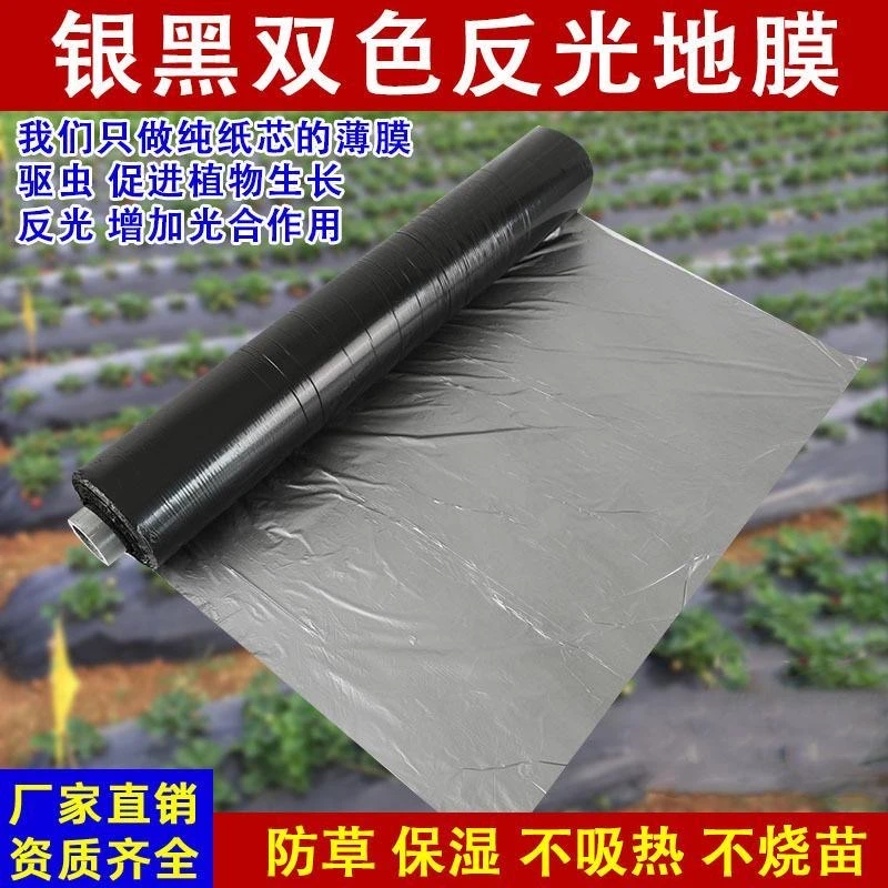 银黑地膜除草保湿反光拉伸度好双面多功能厂家直销农用