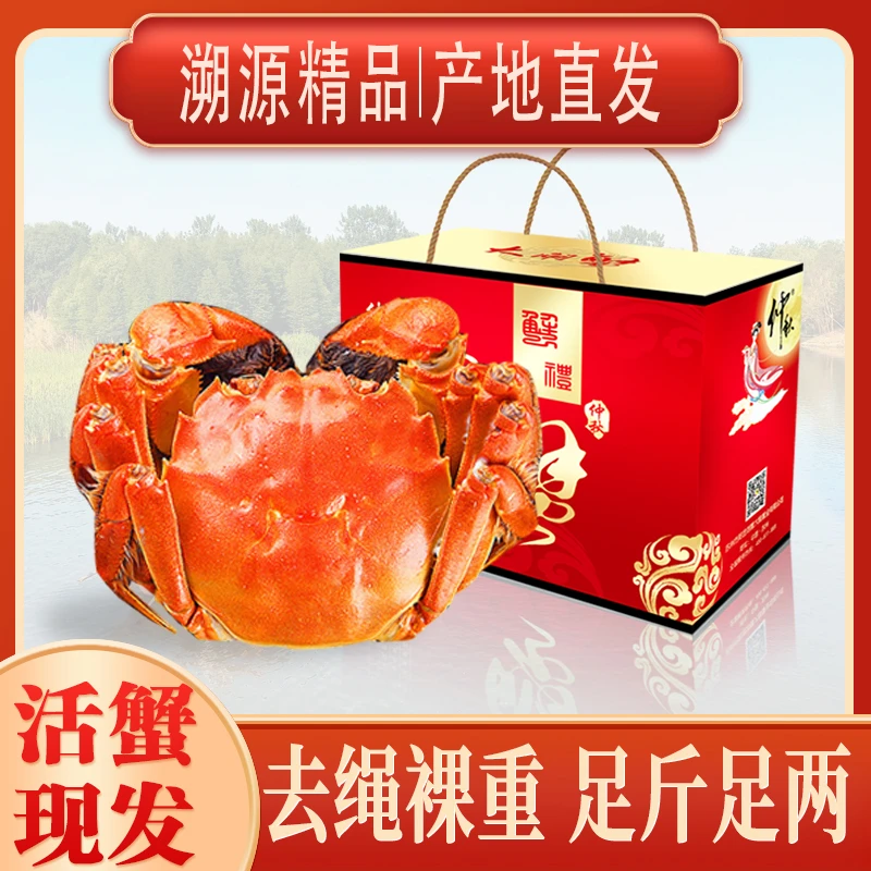 【活蟹】母3.2-2.9两公3.0-3.0两精品大闸蟹螃蟹溱湖簖蟹礼盒8/10只