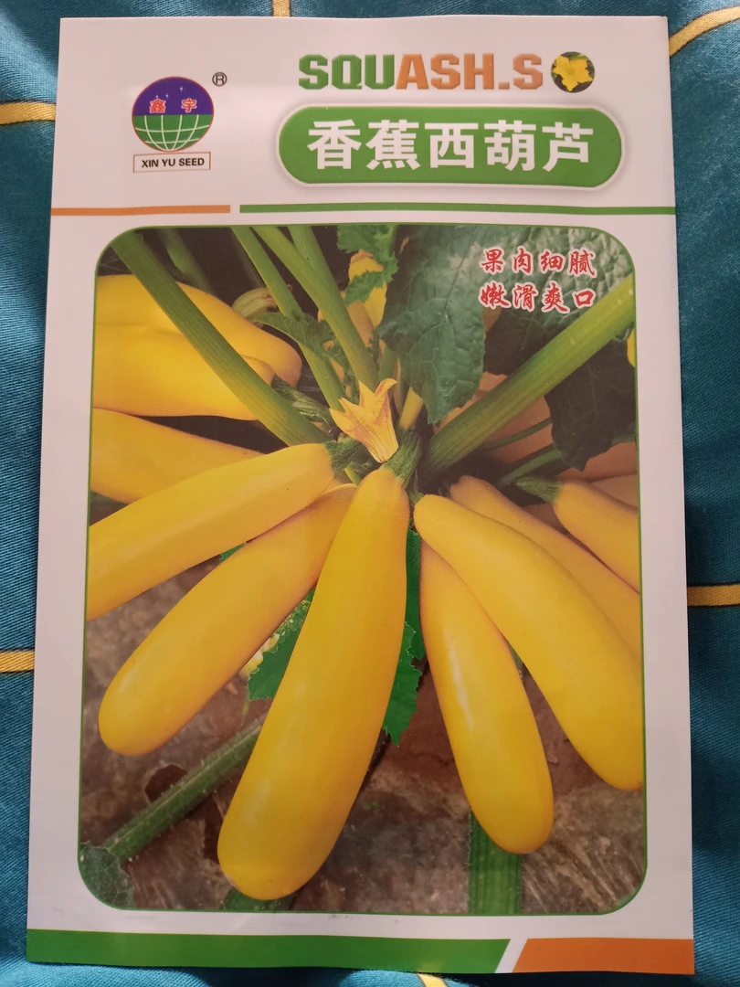 香蕉西葫芦种子20粒