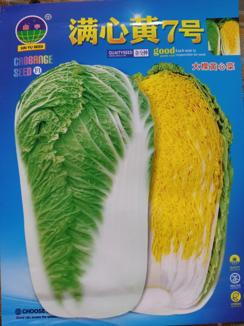 好再来满心黄7号大棵白菜种子10克
