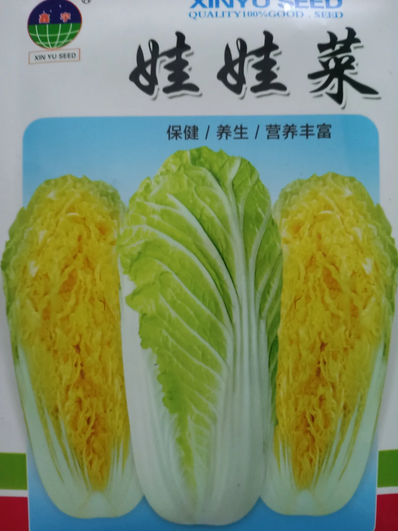 娃娃菜种子约800粒