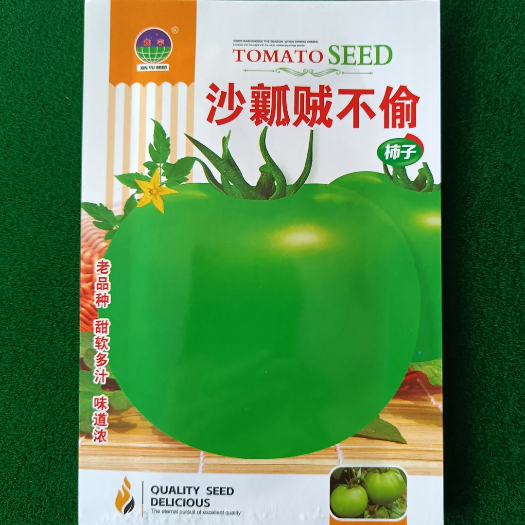 贼不偷柿子种子约300粒