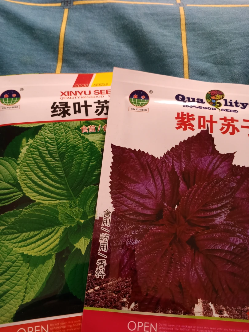 紫叶苏子+绿叶苏子种子