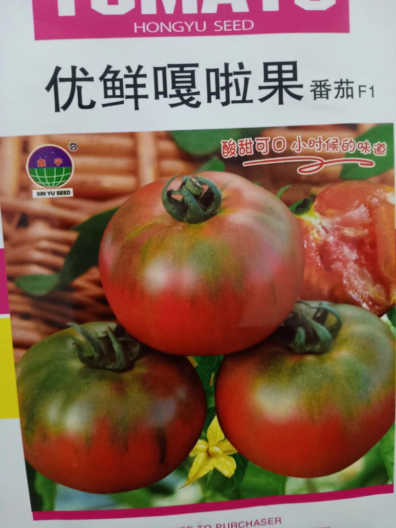 草莓柿子嘎啦果种子一袋约100粒