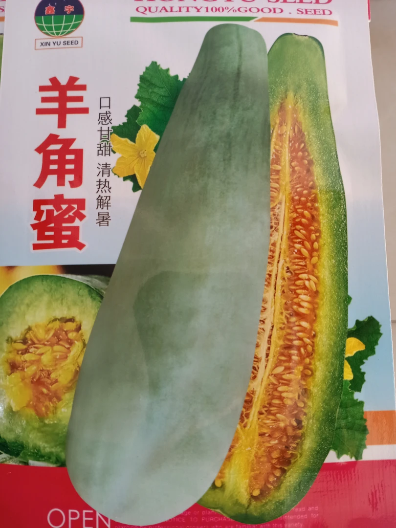 羊角蜜甜瓜种子约100粒