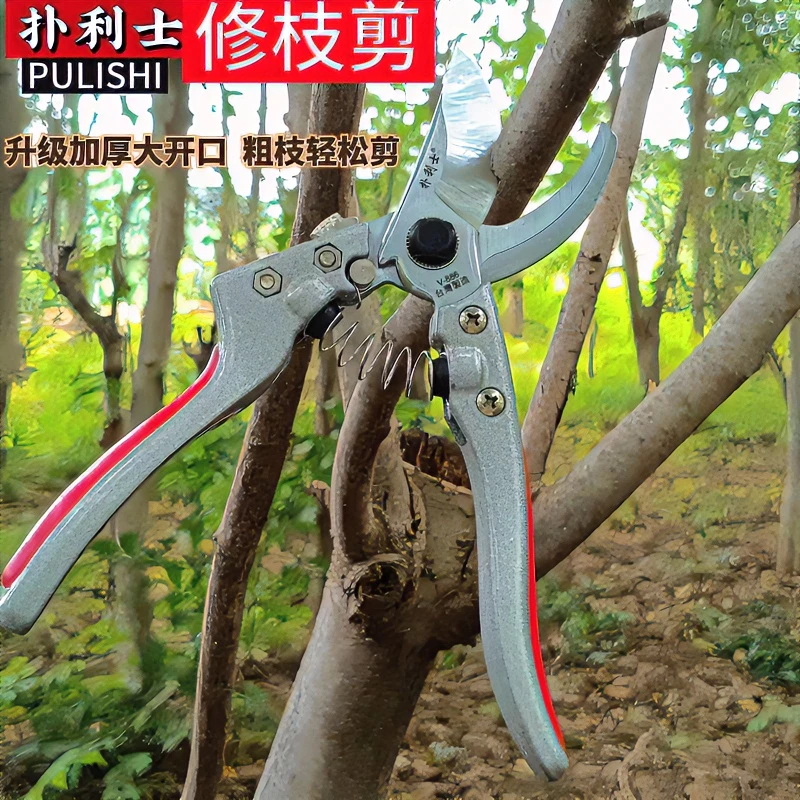 扑利士剪定铗手剪果树修枝剪花剪树剪摘果剪园艺修剪神器园林剪刀