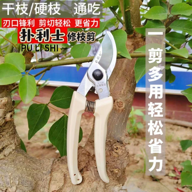 扑利士修枝剪刀手剪园林剪果树剪花剪树剪省力剪摘果剪园艺剪刀