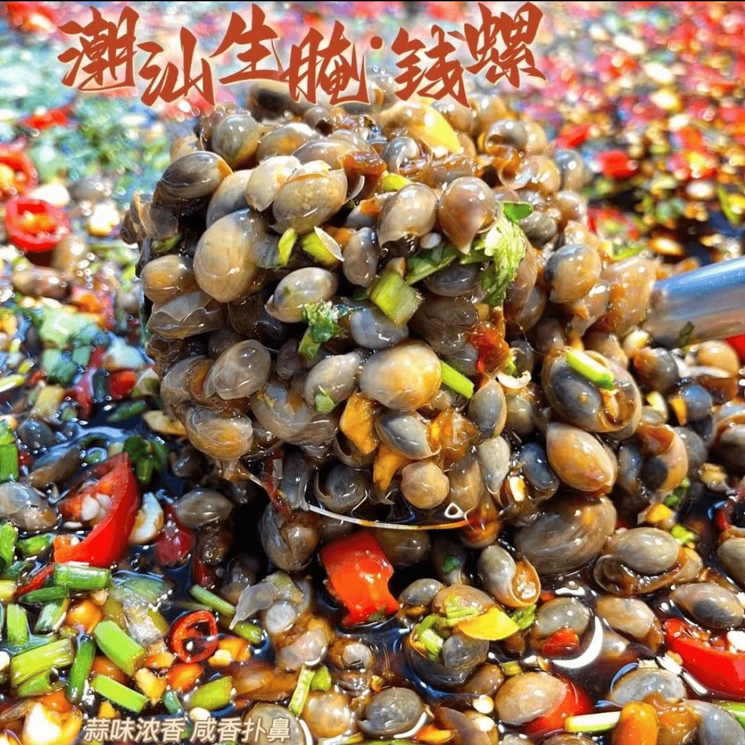 海陆丰美食 生腌钱螺【硬壳脆肉】流鼻螺 南风螺 咸淡适中 配饭配酒