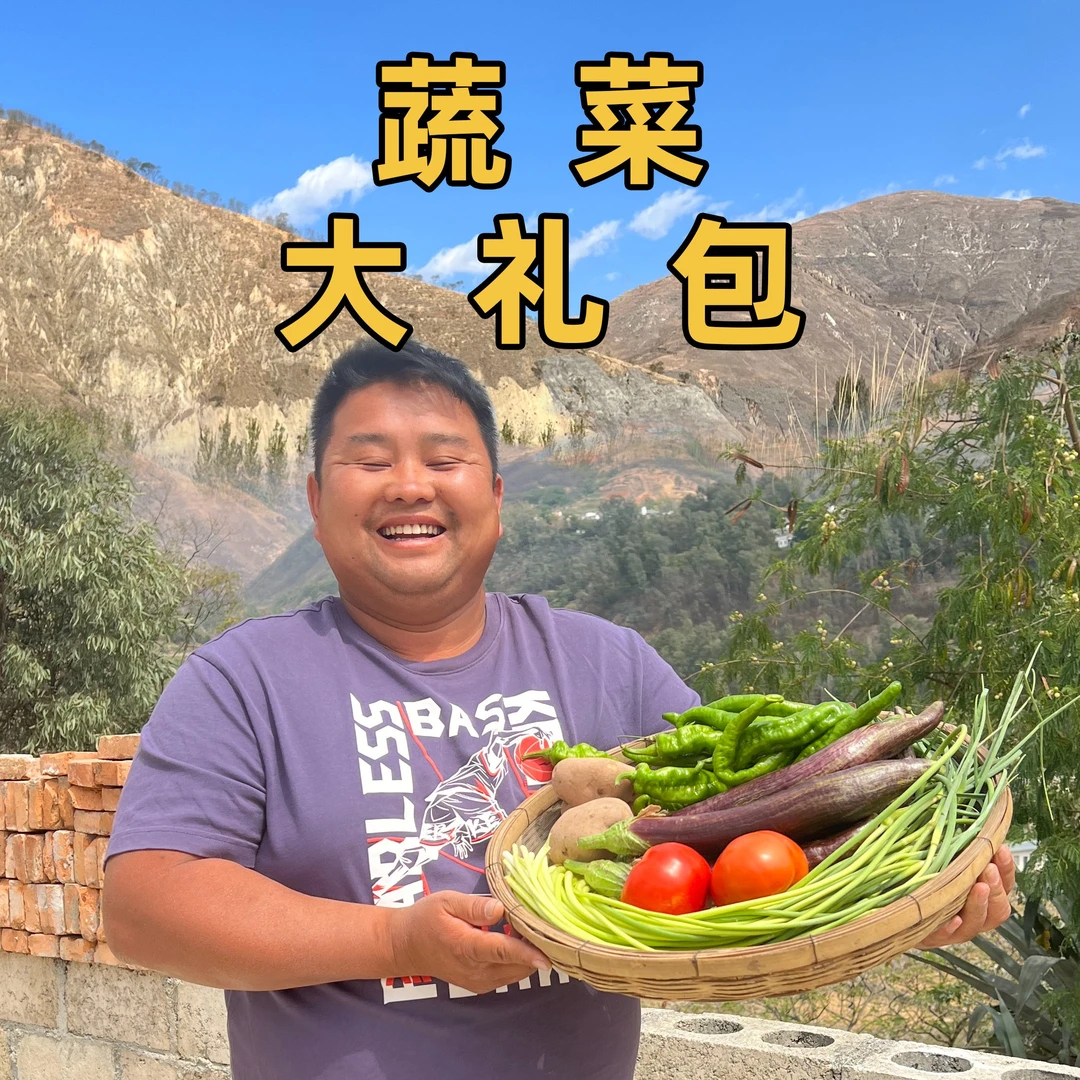 白菜+包菜蔬菜大礼包  共四斤