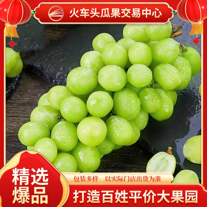 阳光玫瑰6.5元/斤现拍现发