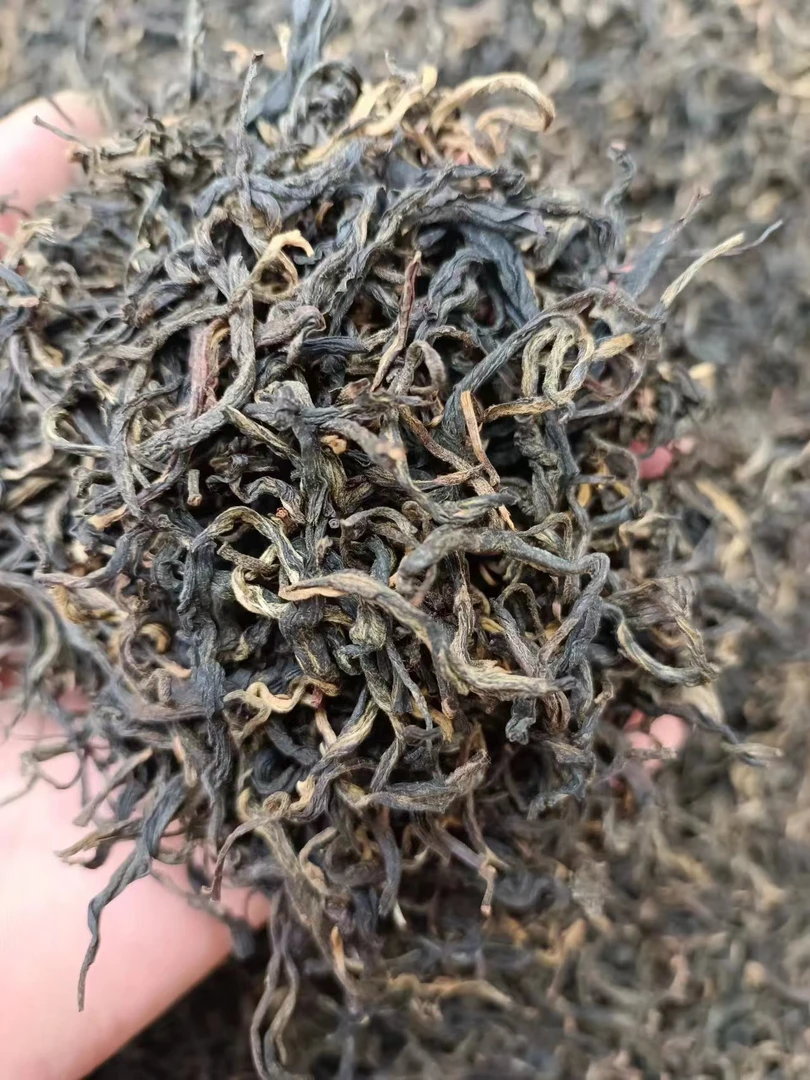 【云南红茶】2024年大茶地高杆古树头春红茶（晒红）