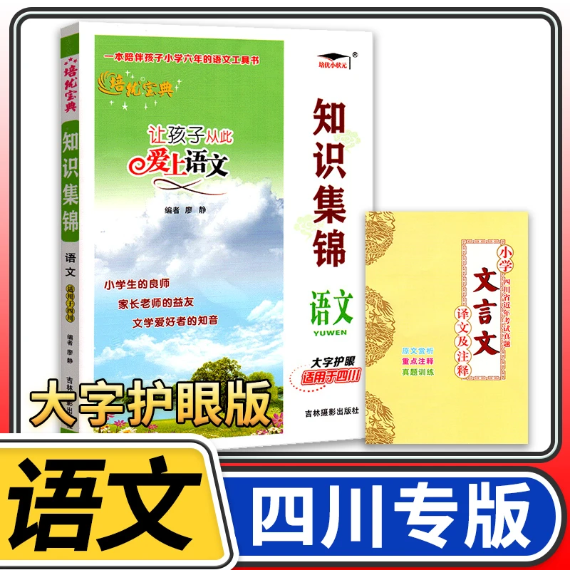 小学语文知识集锦四川专版【大字护眼】 小升初知识大集