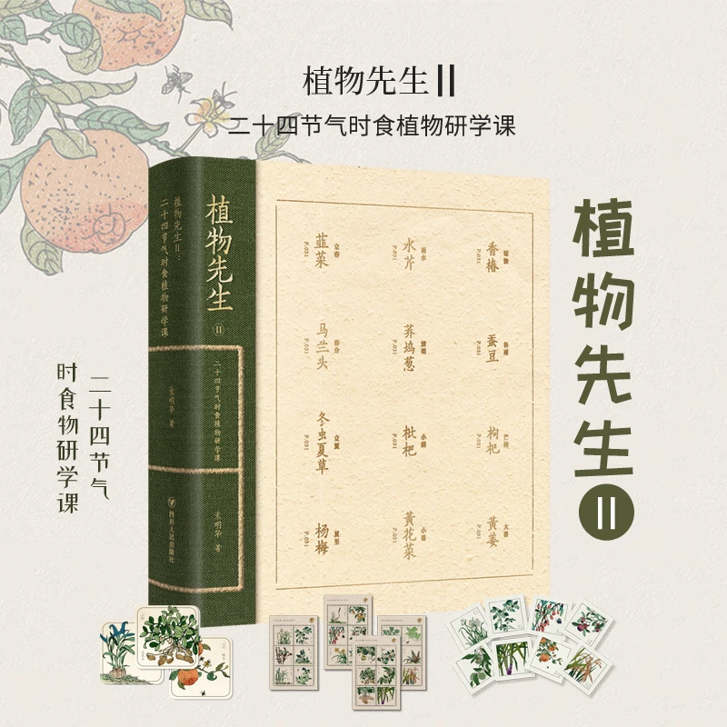 植物先生II——二十四节气时食植物研学课