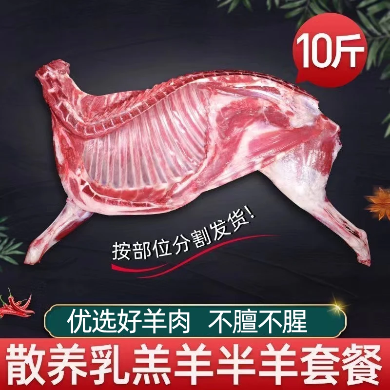 【到手10斤】清真散养羔羊半只羊礼盒羊排羊小腿羊蝎子大礼包