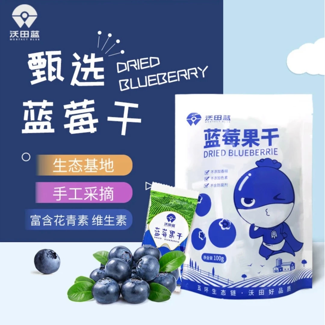 农科院选品4袋蓝莓干独立小袋装便携酸甜营养花青素办公室零食