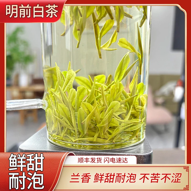 然乎·茶识【A08明前兰香】24年安吉正宗新茶兰香原产肥芽鲜爽回甘