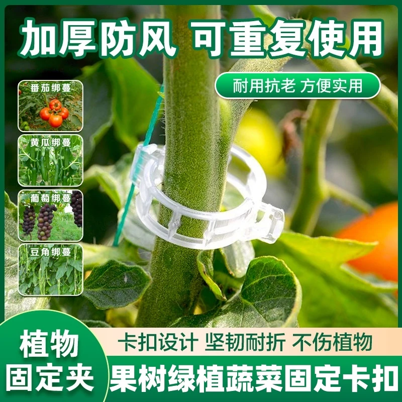 绑蔓夹果树绿植蔬菜固定卡扣捆绑藤蔓夹环扣植物夹吊秧夹塑料