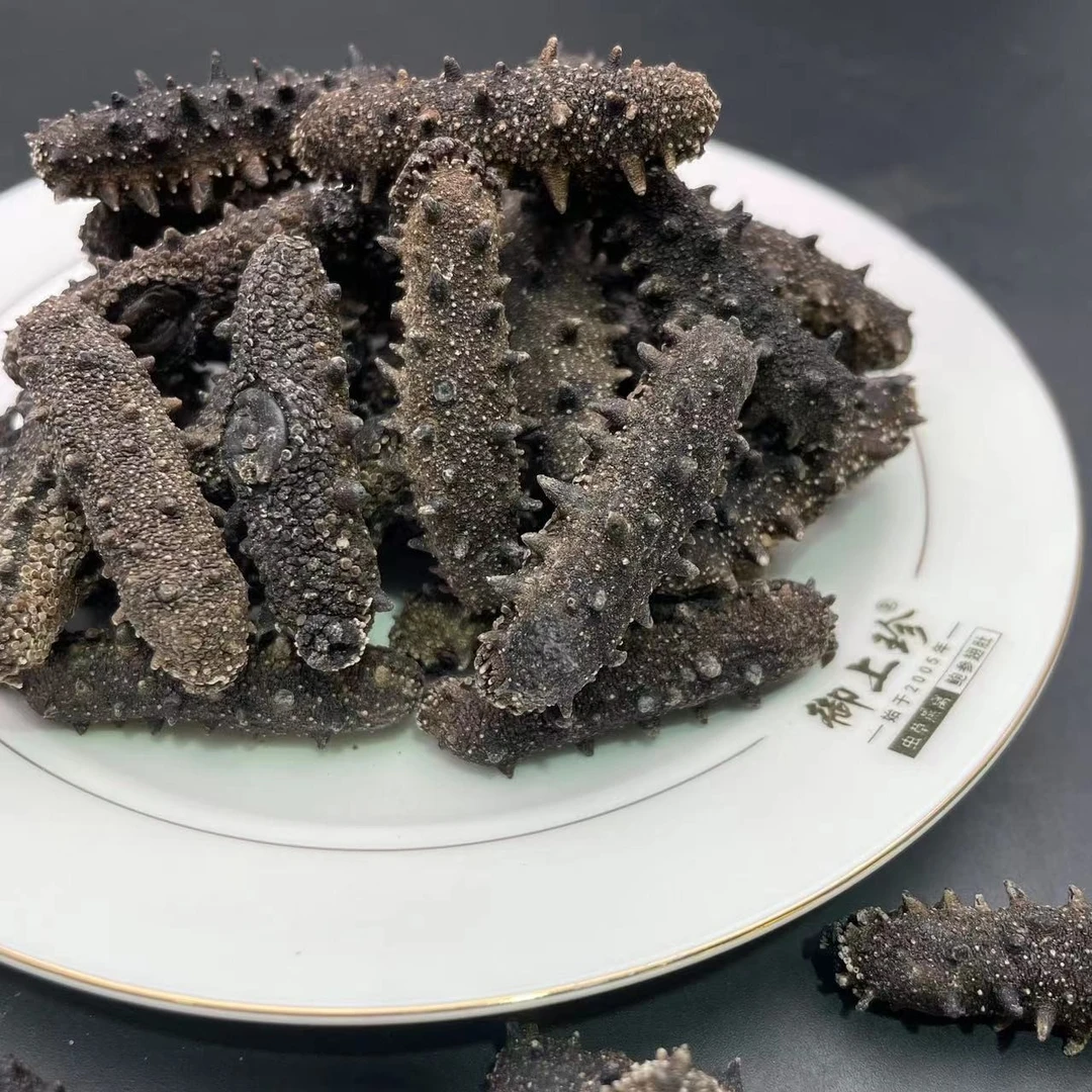 100头大连海参-干货