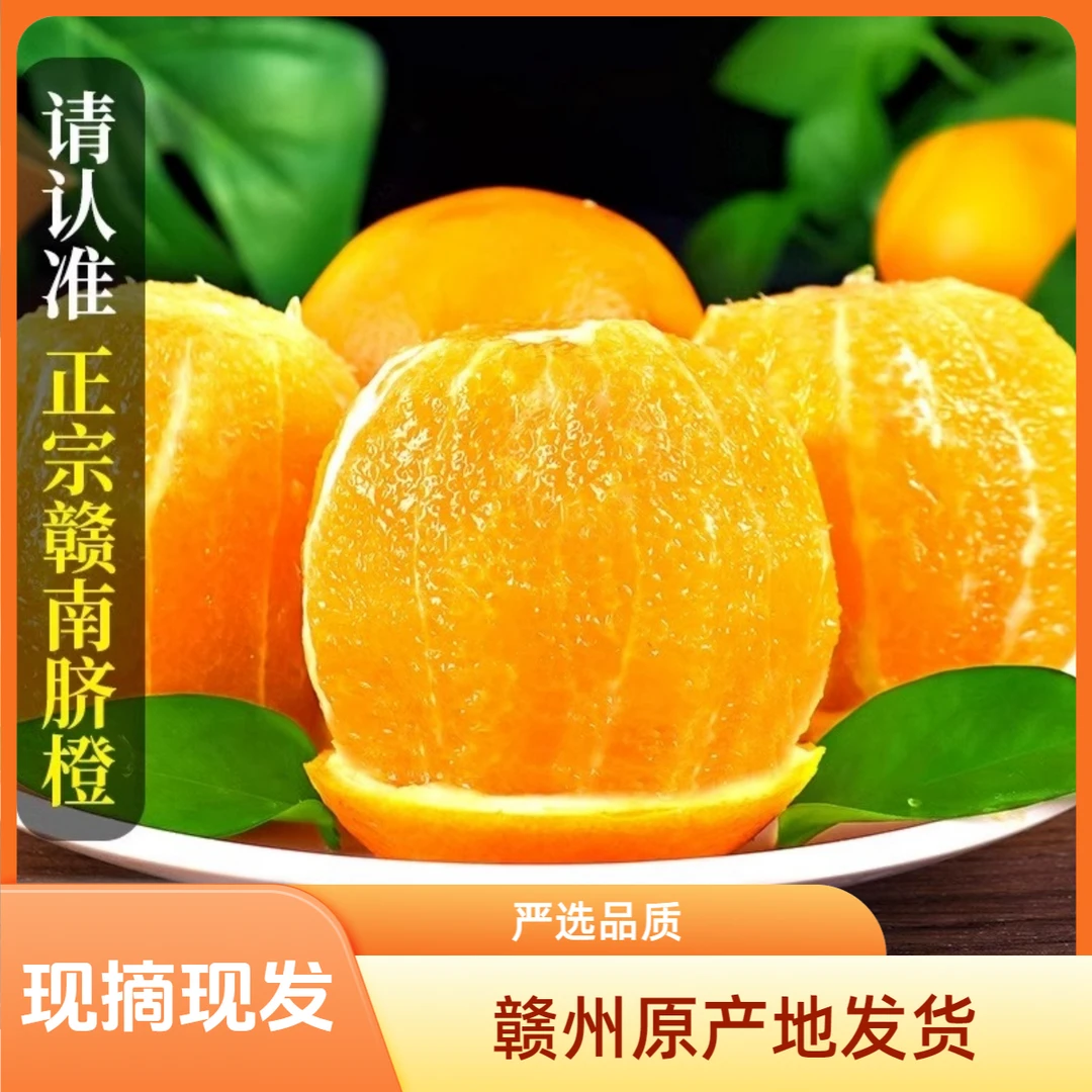 正宗赣南脐橙原产地现摘现发安远新鲜橙子好吃现摘
