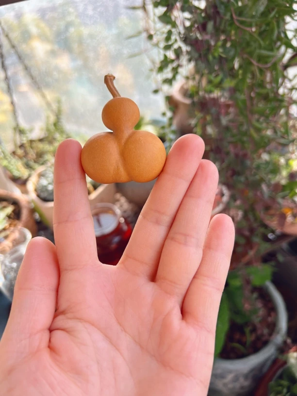 金蟾文玩葫芦,一物一图