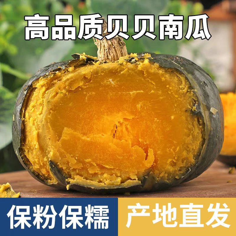 正宗贝贝南瓜  整箱5斤 粉糯香甜板栗味南瓜 老藤老瓜 水瓜包赔