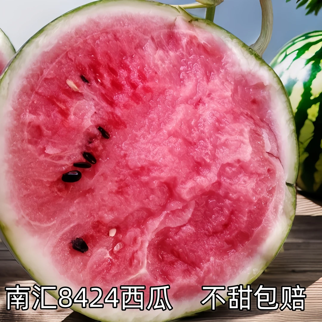 正宗上海南汇好吃皮薄头茬时令当季新鲜水果薄皮脆甜多汁非麒麟瓜