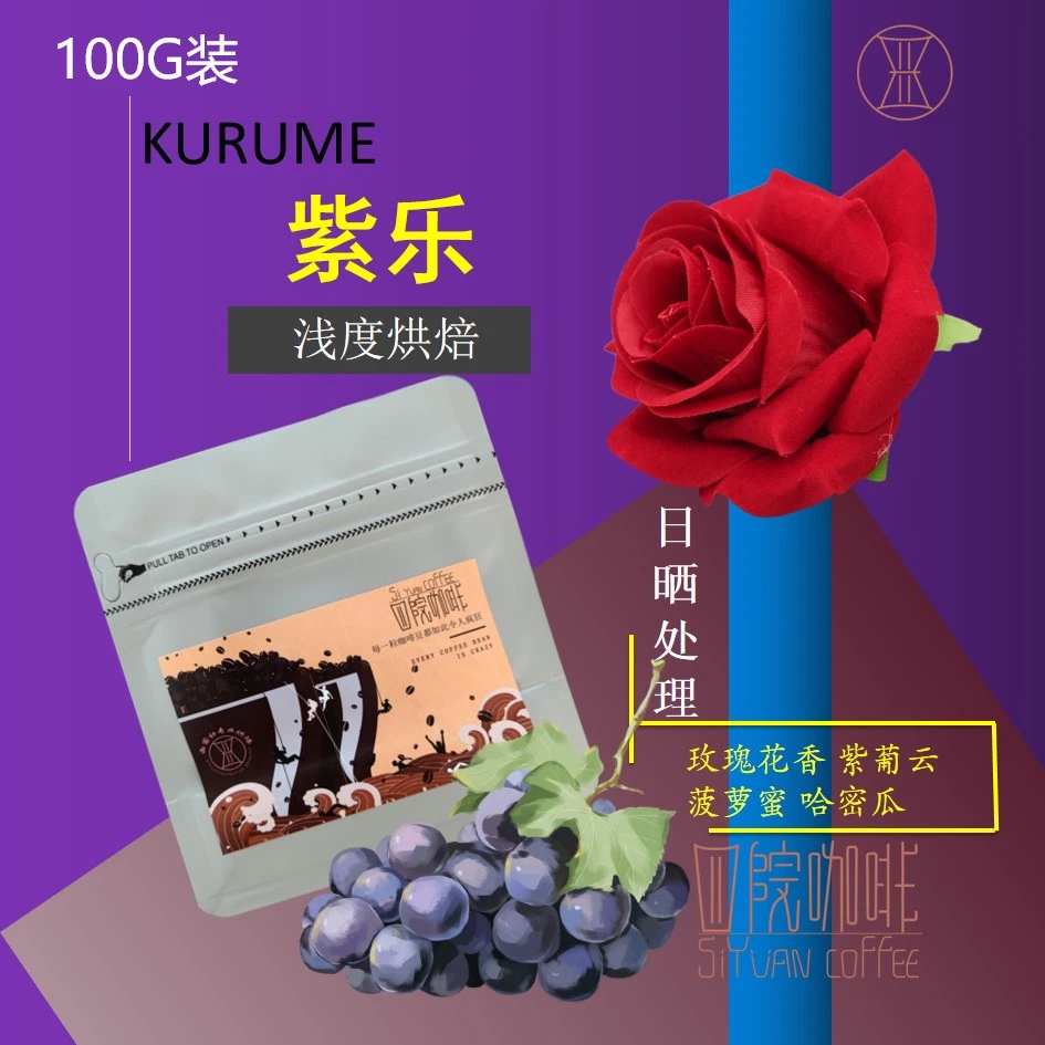 紫乐 埃塞俄比亚 浅度 日晒 咖啡豆 100g