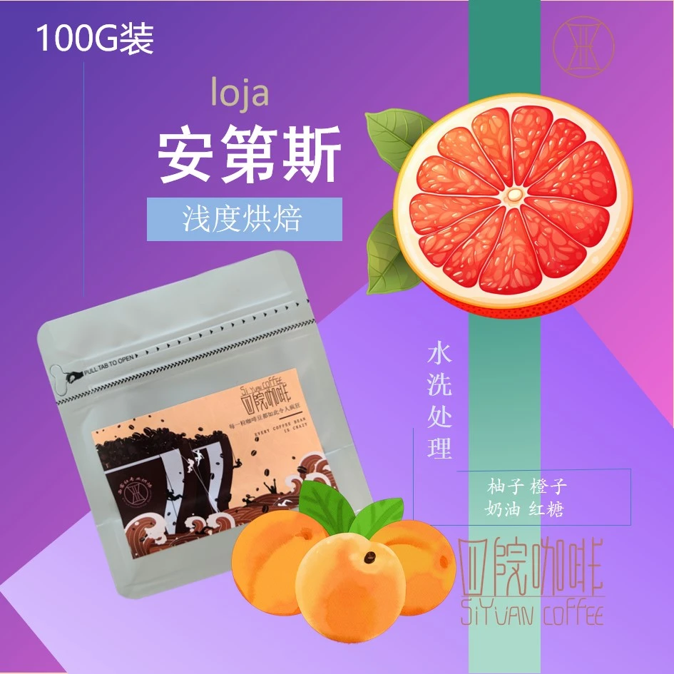 安第斯  厄瓜多尔 改良铁皮卡 水洗 浅烘  咖啡豆 100g