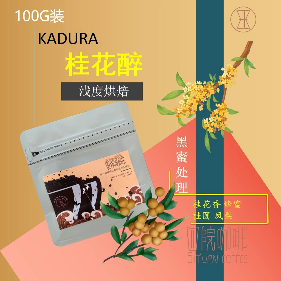 桂香醉 哥斯达黎加 浅度 黑蜜处理 咖啡豆 100g