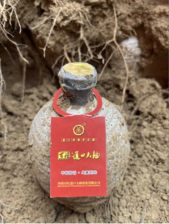 【福袋】道口大曲地藏酒