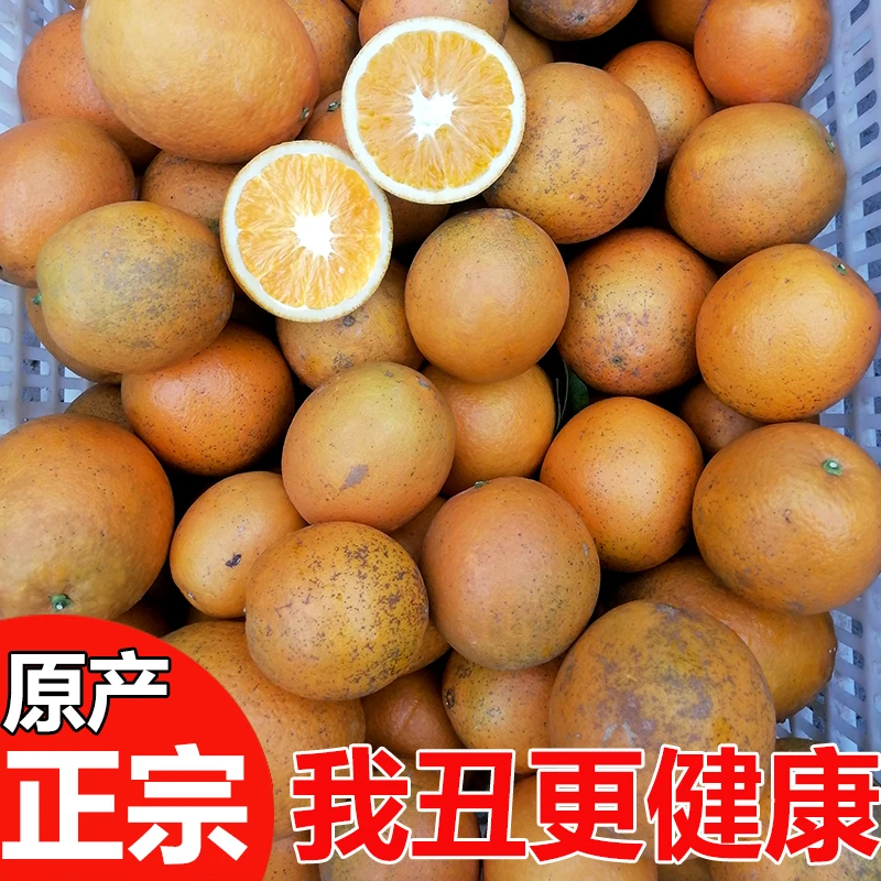 江西正宗赣南脐橙花皮甜橙子应季新鲜水果榨汁橙丑橙香甜原生态