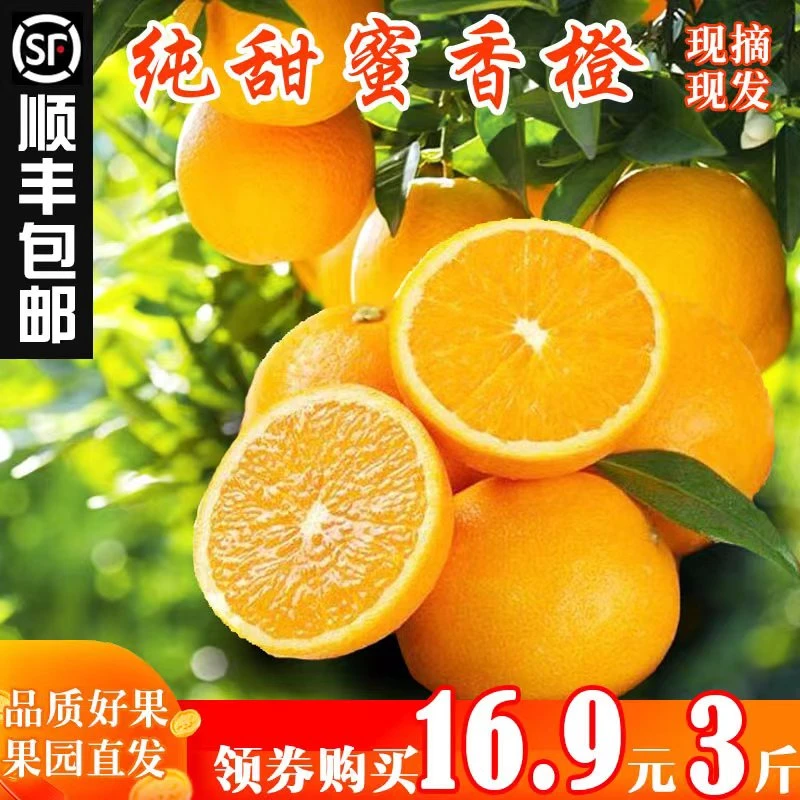 广西桂林蜜香橙纯甜橙子蜂蜜橙当季现摘新鲜水果鲜甜比冰糖橙甜蜜