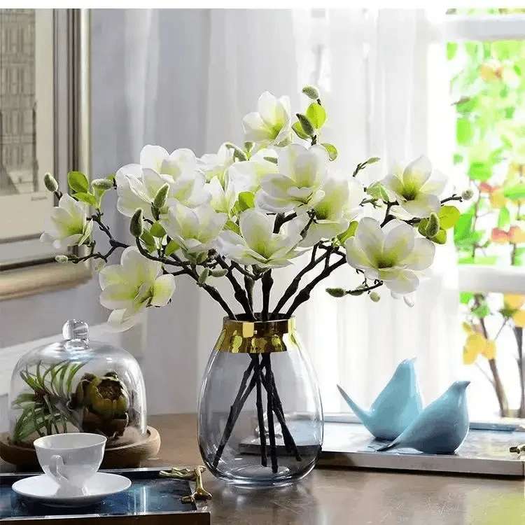【遇水开花】水培玉兰花卉室内水培客厅办公室内鲜切枝条桃花绿植