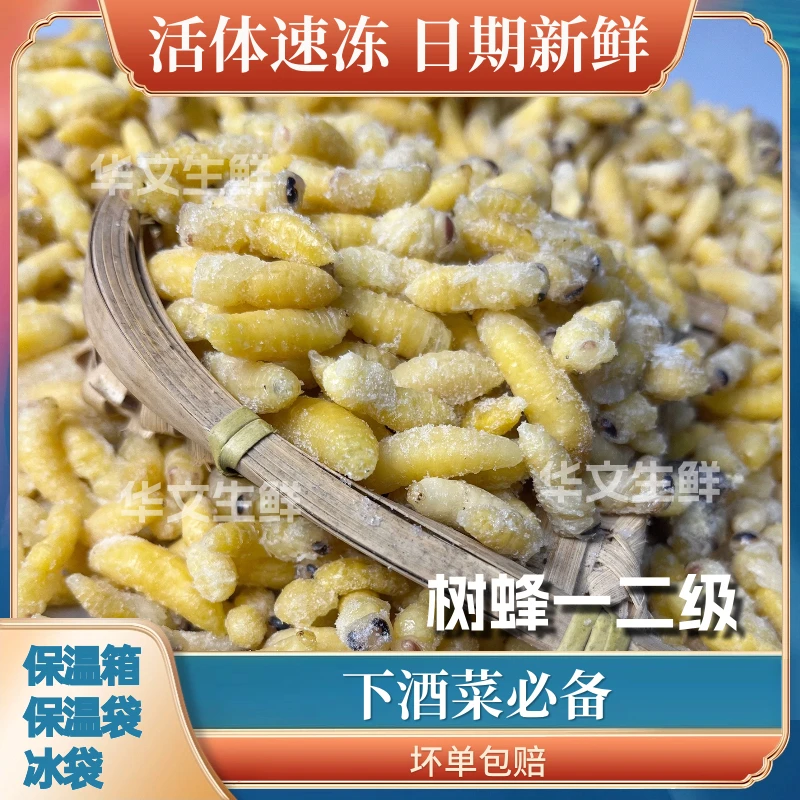 树蜂野生一二级蜂蛹天然新鲜马蜂蛹活体干油炸即吃营养泡酒500g