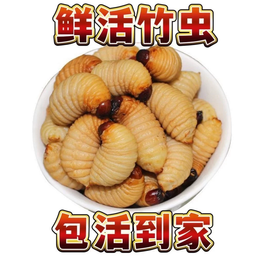 【静琪专属包活到家】高蛋白竹笋虫营养美味下酒下饭直播引流道具