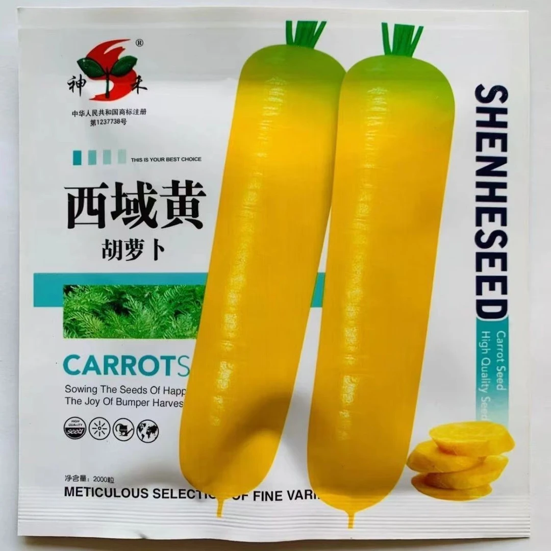 黄胡萝卜种子西域黄萝卜种子西欧引进原种黄色胡萝卜种子四季蔬菜