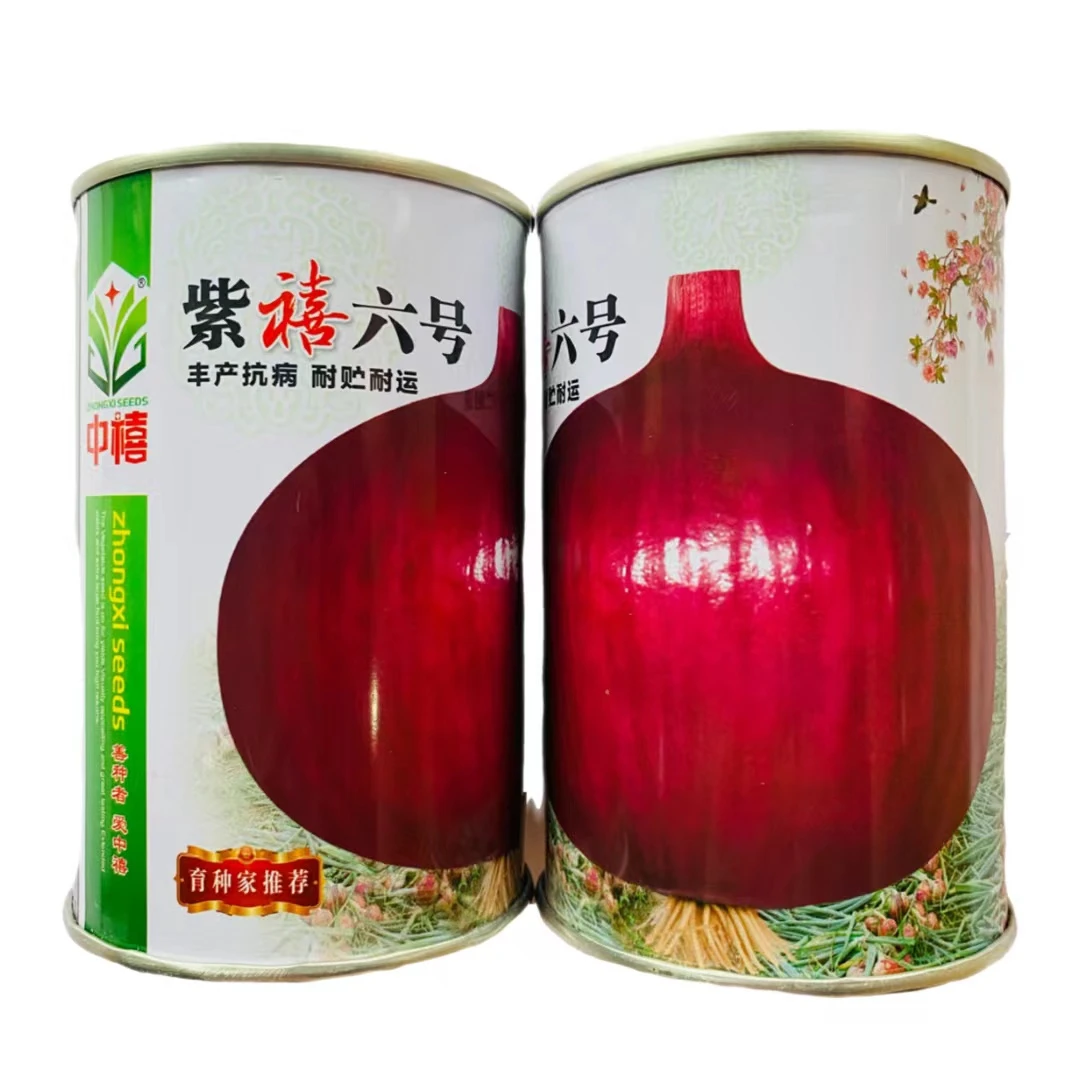紫禧六号洋葱种子圆葱红皮葱头高产种子秋冬易播蔬菜紫色洋葱种孑