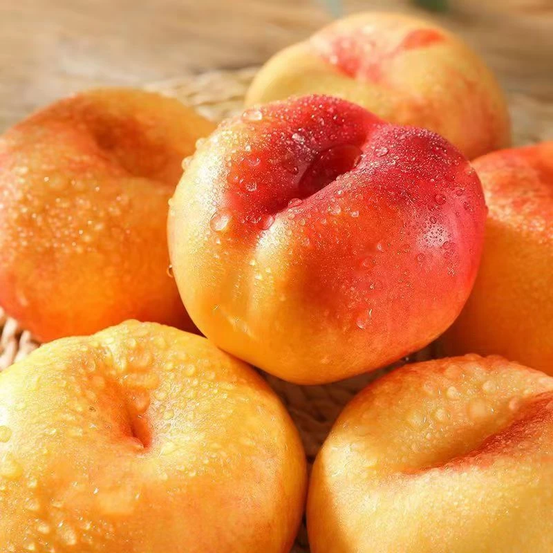 《京东包邮》头茬果王十挑一蜜桃油蟠桃彩虹蟠桃脆甜现摘现发
