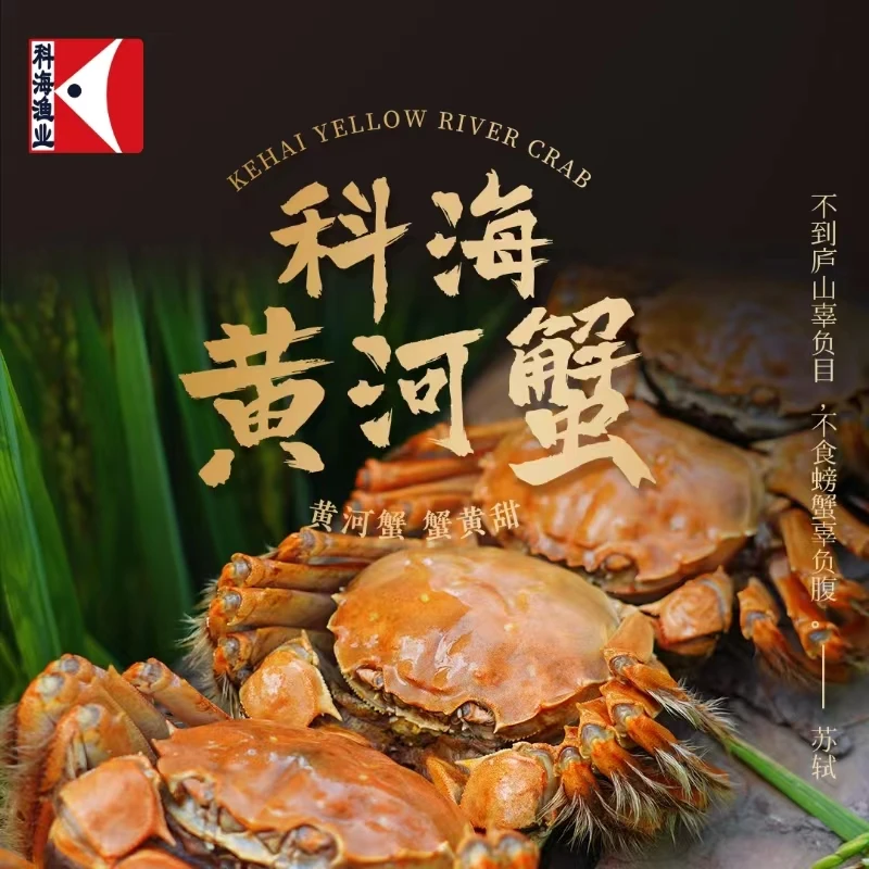 【新店福利】3母黄河蟹到手8只 宁夏本地