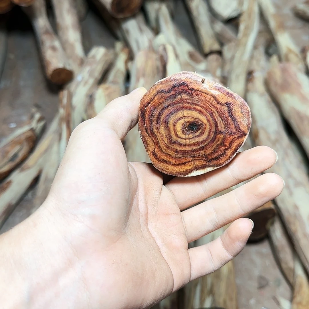 黄花梨/降香黄檀小**森海南黄花梨
