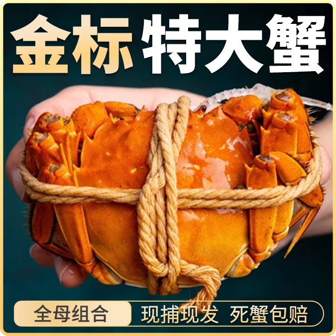 【活蟹现发】大闸蟹全母2两8只礼盒装