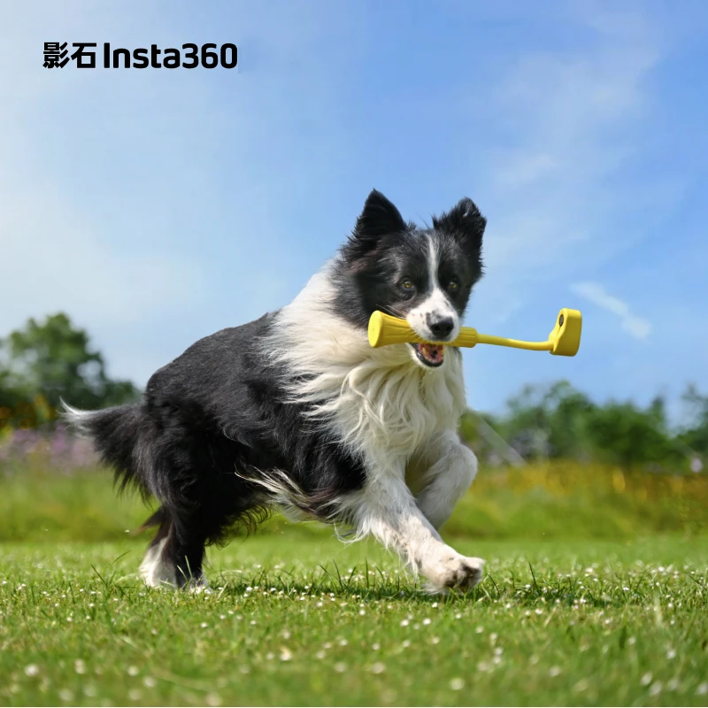 影石Insta360 GO 3 宠物口咬自拍杆 宠物拍摄防抖食品级 适配GO 3