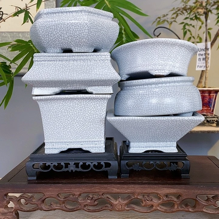 红陶20CM(含)-50CM(不含)