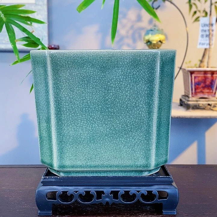 红陶20CM（含）-50CM（不含）