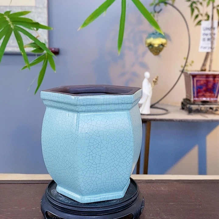红陶20CM(含)-50CM(不含)