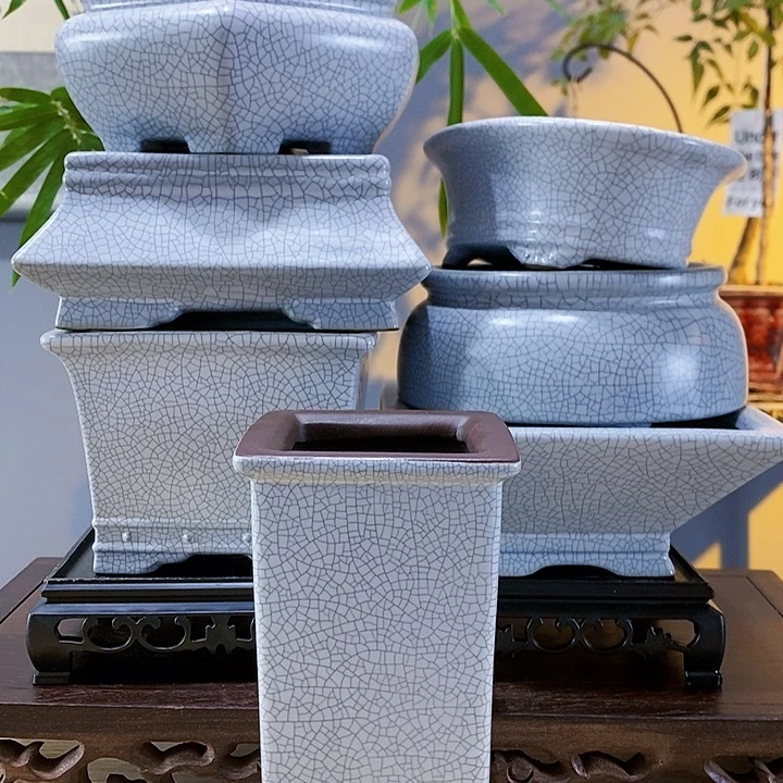 红陶20CM(含)-50CM(不含)